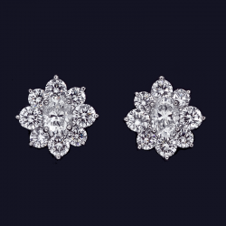 Platinum Diamond Earrings
